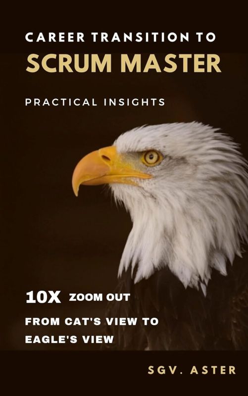 Career Transition to Scrum Master - Practical Insights: 10X Zoom-out from Cat's View to Eagle's View Kindle Edition