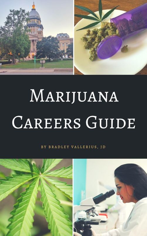 Marijuana Careers Guide: Cannabis Industry Overview and Job Hunting Strategies